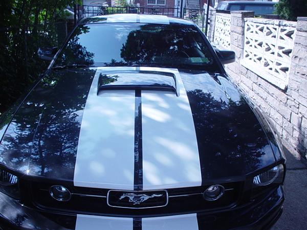 Whatcha guys think?-mustang-2007-023.jpg