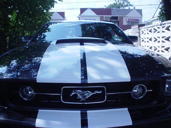 Whatcha guys think?-mustang-2007-024.jpg