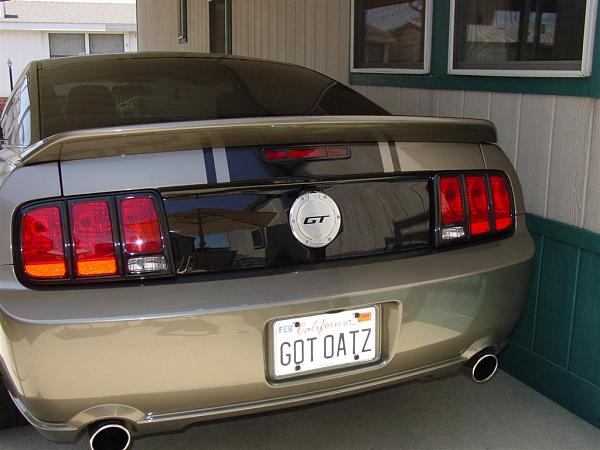 GT500 or &quot;style&quot; ducktail-shelby-spoiler-006-large-.jpg