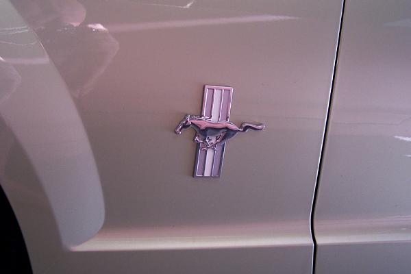 Chrome Pony Emblems-100_3261_800forum.jpg
