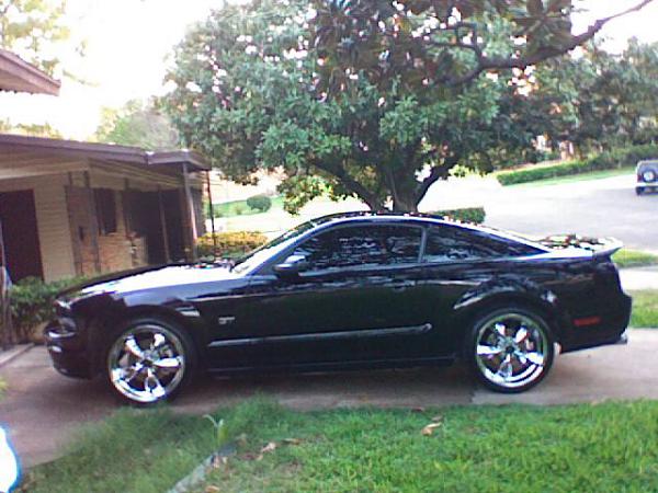 Any un-lowered mustangs w/ 19" or 20"-rims-2.jpg
