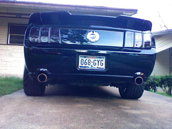 Any un-lowered mustangs w/ 19" or 20"-rims-4.jpg