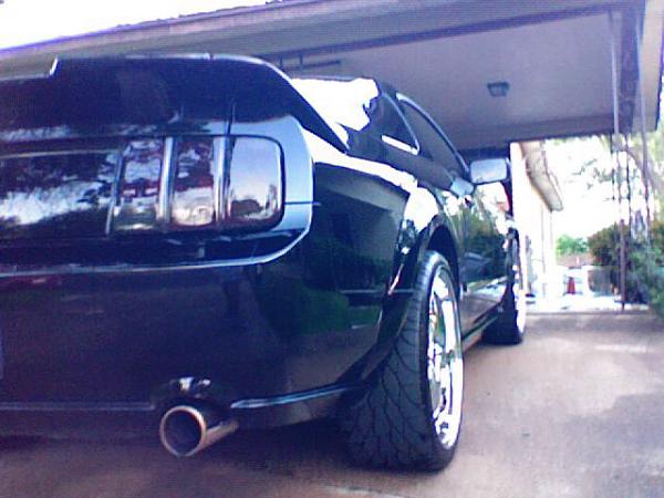 Any un-lowered mustangs w/ 19" or 20"-rims-6.jpg