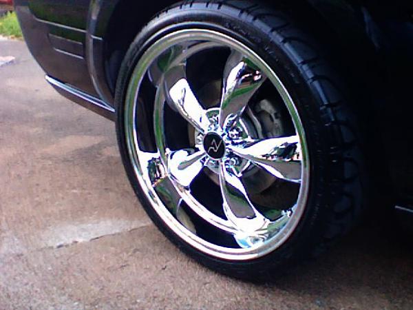 Any un-lowered mustangs w/ 19" or 20"-rims-9.jpg