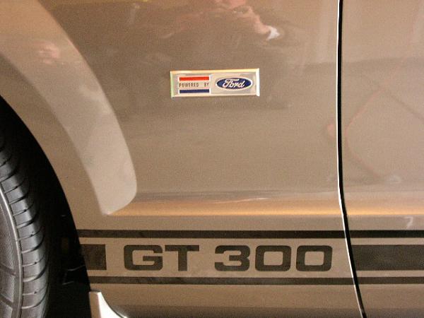 Are the "powered by Ford" Shelby emblems still available?-175.jpg