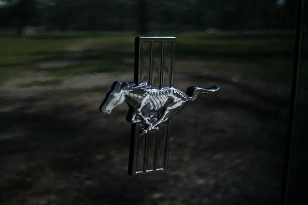 Opinions Please!-_mg_1807.jpeg