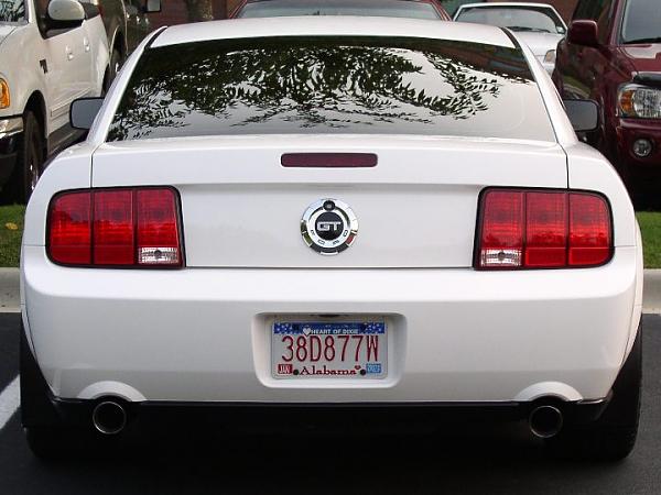 Paint question for GT500 look-06-09-01-06c.jpg