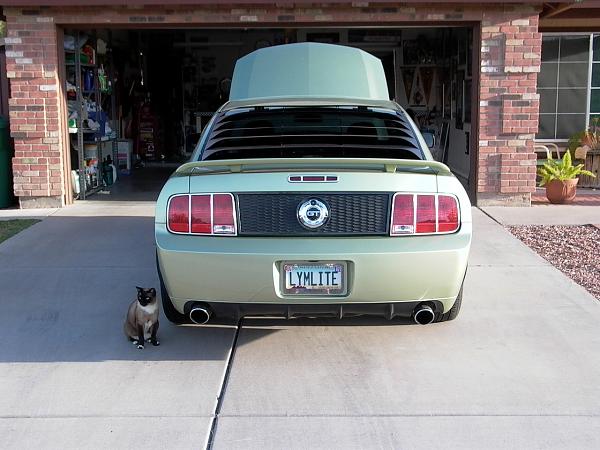 New SHR Honeycomb panel installed!-p1010450.jpg