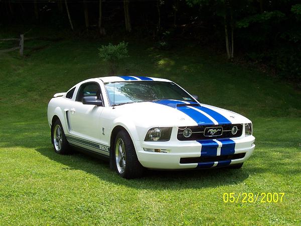 My GT350 Tribute car-just-fred.jpg