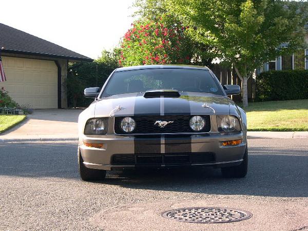 I Was Bored Tonight - soooo-stock-grille-002.jpg