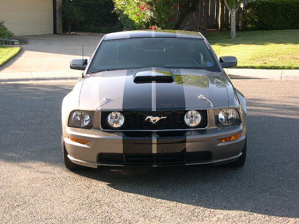 I Was Bored Tonight - soooo-stock-grille-003.jpg