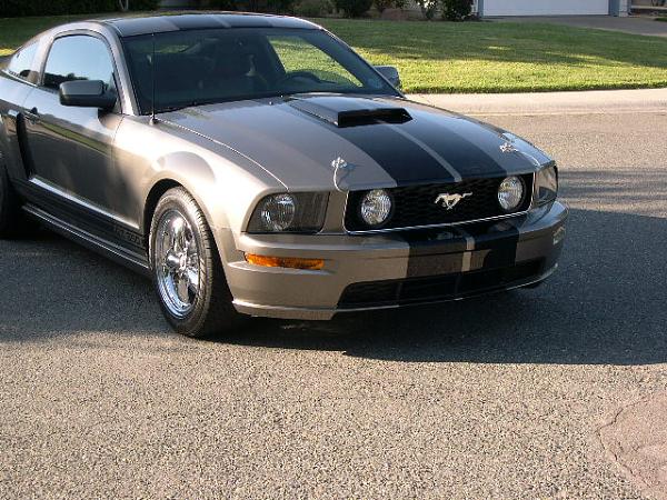 I Was Bored Tonight - soooo-stock-grille-004.jpg