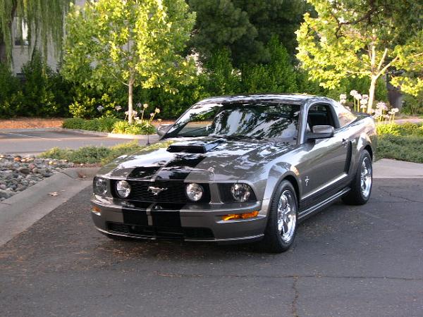 I Was Bored Tonight - soooo-stock-grille-002.jpg