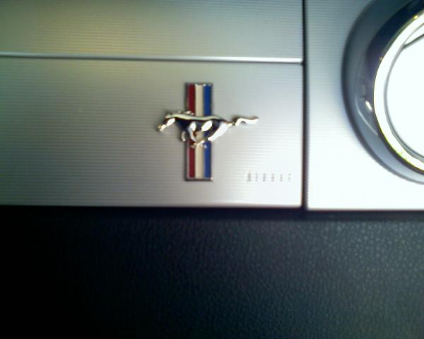 Where Can I Find Those Pony Emblems?-062707_19102.jpg