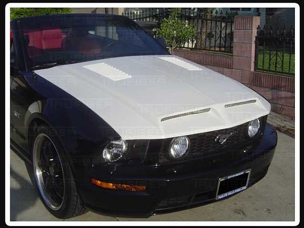 need help choosing hood.-gt-s.jpg