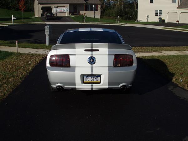 Legend LM500 Rear Spoiler&hellip;anyone have it?-rpa080292.jpg