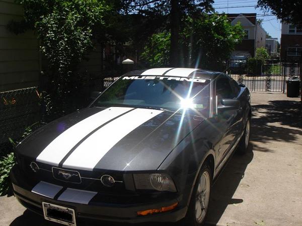 Windshield Banners-mustang-2007-041.jpg