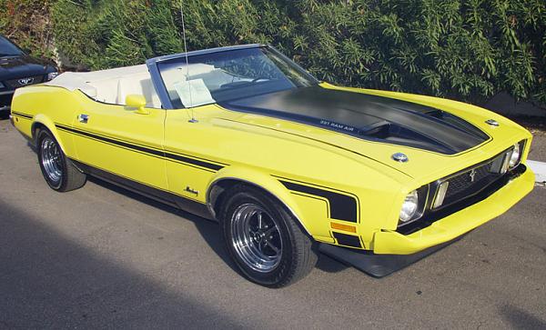 Hood pins, debating getting them...-bjps-1973convertible-1.jpg