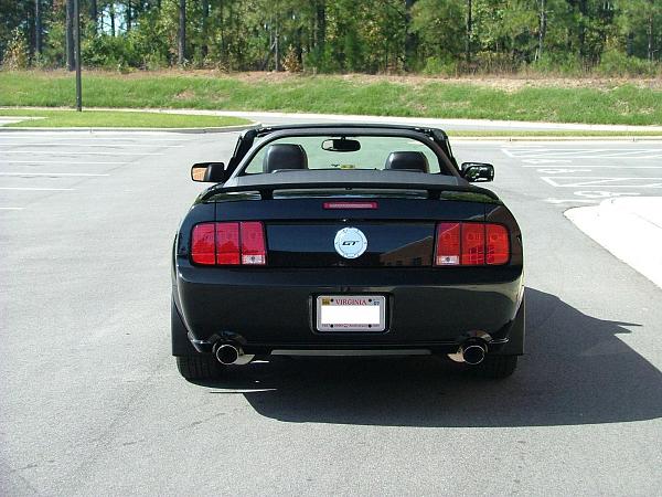 Silver Horse Rear Medallion Suggestions-frame-2.jpg