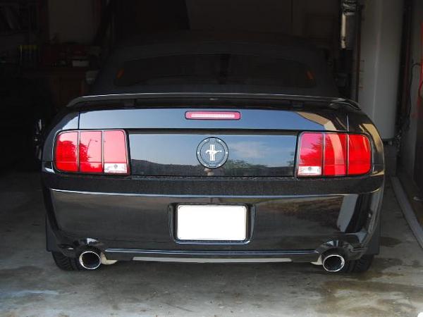 Silver Horse Rear Medallion Suggestions-medallion.jpg