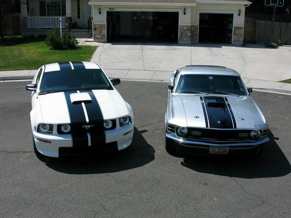 Racing Stripes??-img_2921.jpg