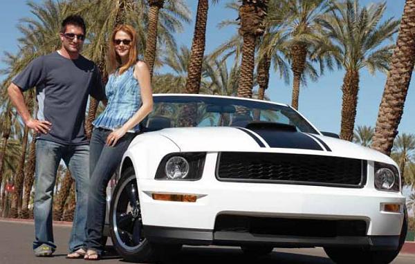 Who wants an OEM-style blank GT grille?-grille-3.jpg