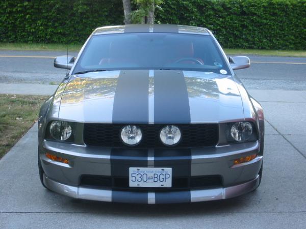 Post pics of your Chin Spoilers!!-100-0042_img.jpg