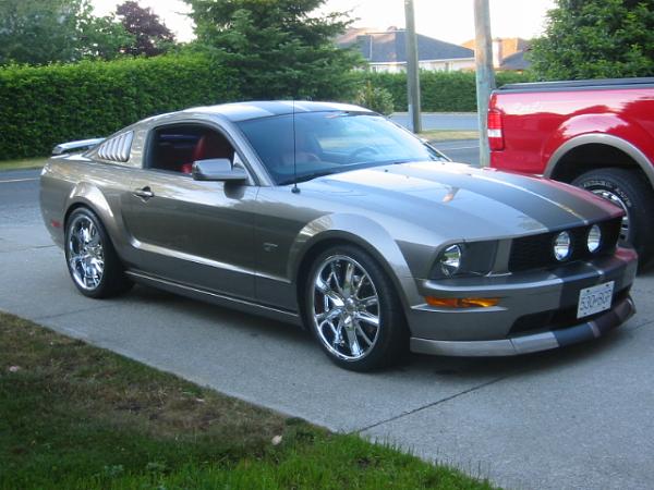 Post pics of your Chin Spoilers!!-100-0041_img.jpg