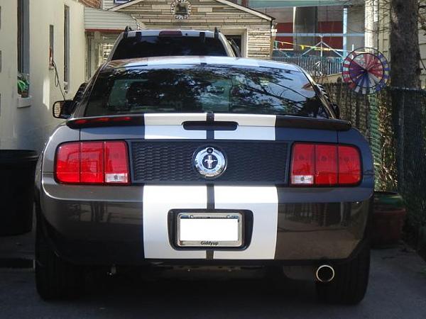 MGW honeycomb panel and MAG inserts..-mustang-stripes-3.jpg