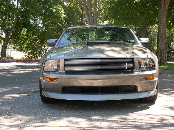 Post pics of your Chin Spoilers!!-cervini-grille.jpg
