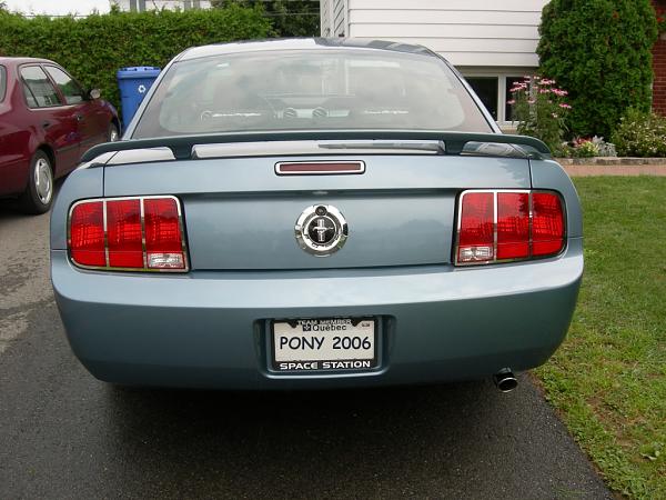 Moss Slotted Tail-lamp Bezel Input-dscn18120012.jpg