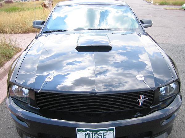 Moss Billet Grill installed- need some opinion-i-eat-shelbys.jpg