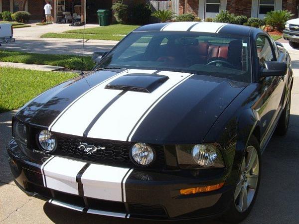 stripes going around hood scoop-mustang2.jpg