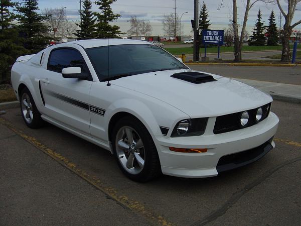 GT/CS Shaker?-07mustang.jpg