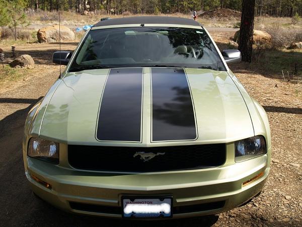 Problem with Stipes-after-installation.jpg