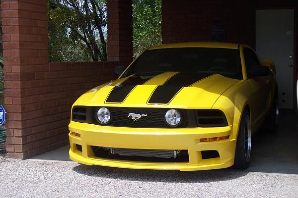 She's back!-100_5406.jpg