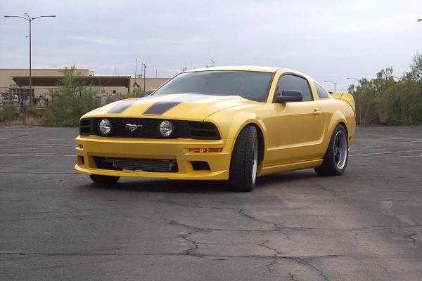 She's back!-100_5409.jpg