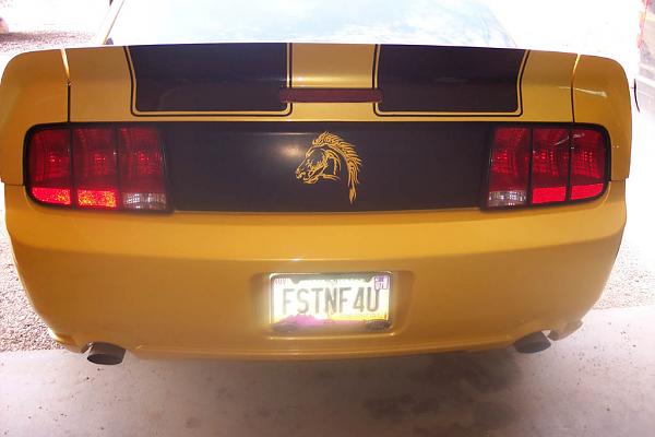 She's back!-102_5529.jpg