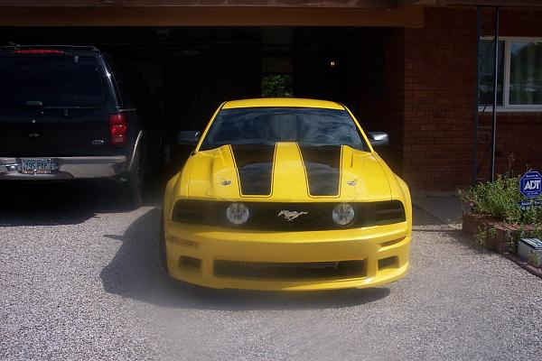 She's back!-102_5530.jpg