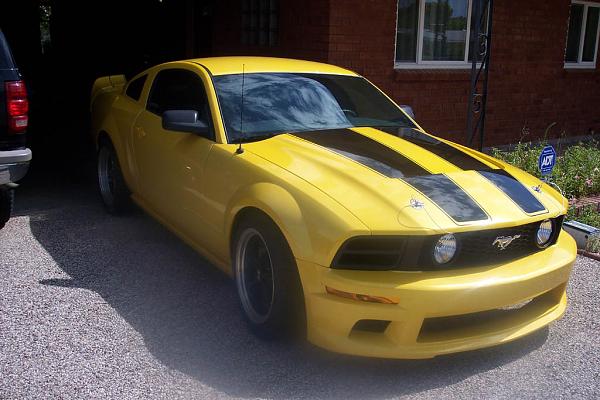 She's back!-102_5533.jpg