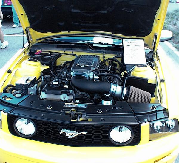 MWAG "GLOSSY" Radiator Ext Covers Installed!!!-engne-bay.jpg