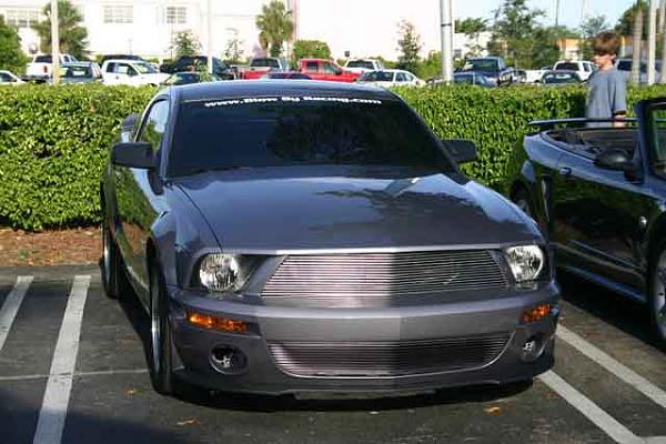 GT500 Billet Grill-billetbottomgrille.jpg
