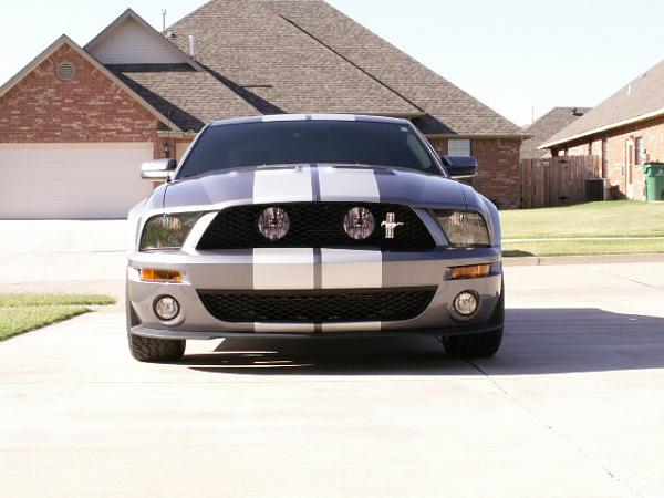 GT500 grille w/ fogs???????-shelbyfog3.jpg
