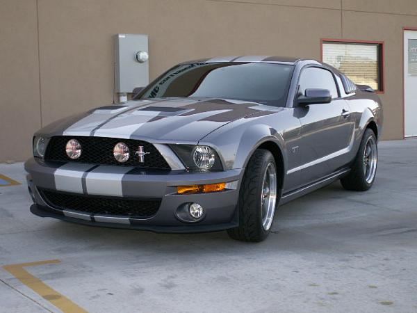 GT500 grille w/ fogs???????-shelbyfog6.jpg