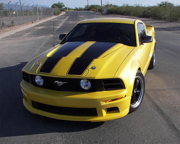 She's back!-faber-stang-front-2-small.jpg