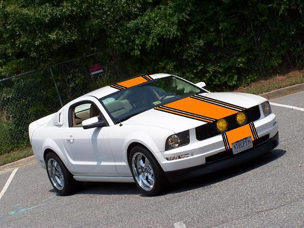 Silver GT500 or Cervini?-superstripe2.jpg