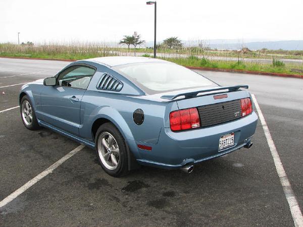 Dual Stripes with a Blackout Panel-rear10d.jpg