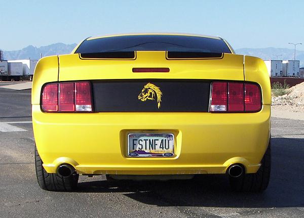 Dual Stripes with a Blackout Panel-faber-stang-back.jpg