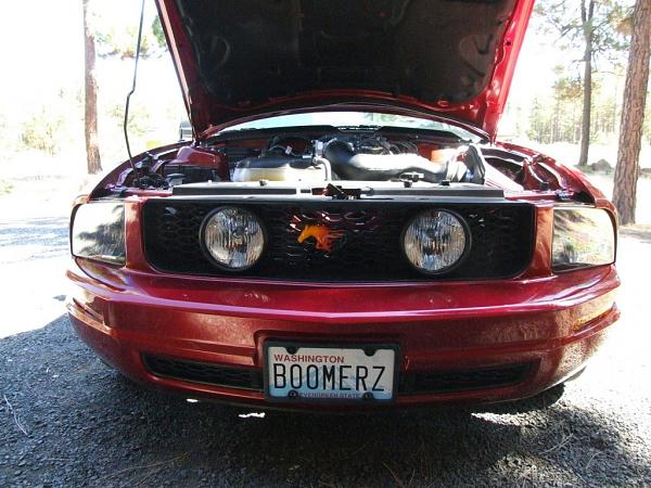 Not easy but here's my grill!!-dscf0818.jpg