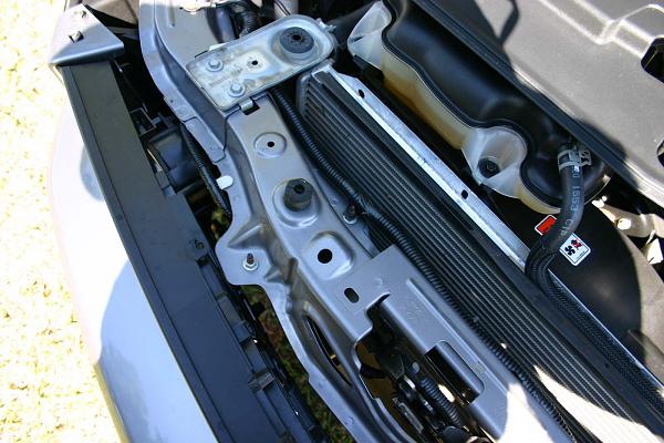 New Grill Problems-horn-mount.jpg